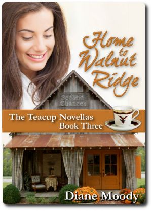 [The Teacup Novellas 03] • Home to Walnut Ridge